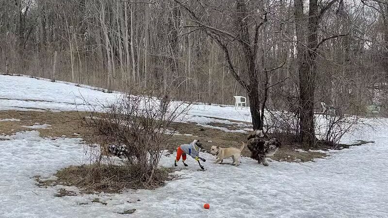 Rhinebeck & Red Hook Dog Park - Rhinebeck, NY