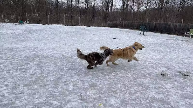 Rhinebeck & Red Hook Dog Park - Rhinebeck, NY