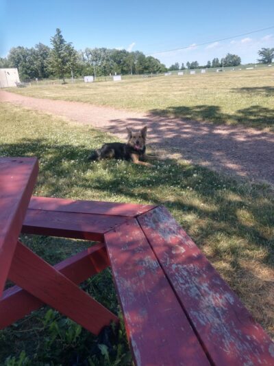 Rice Lake Off Leash Dog Park - Rice Lake, WI