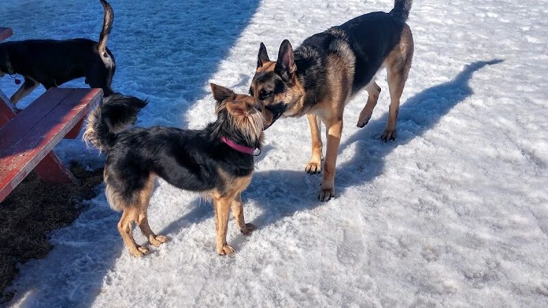 Rice Lake Off Leash Dog Park - Rice Lake, WI