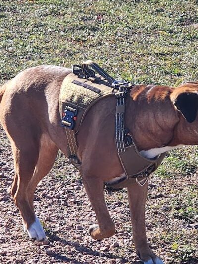 Rice Lake Off Leash Dog Park - Rice Lake, WI