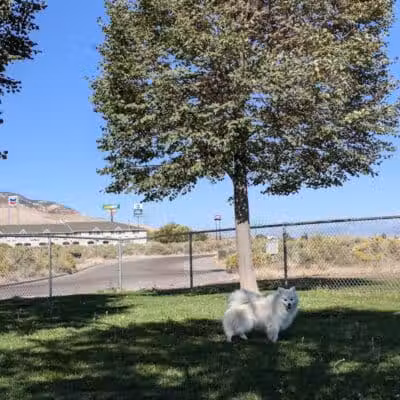 Centennial Dog Park - Richfield, UT