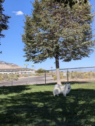 Centennial Dog Park - Richfield, UT