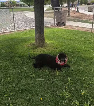 Centennial Dog Park - Richfield, UT