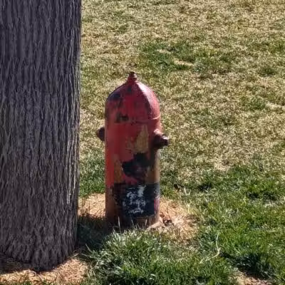 Centennial Dog Park - Richfield, UT