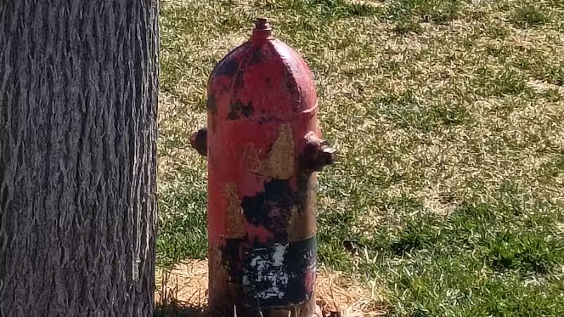 Centennial Dog Park - Richfield, UT