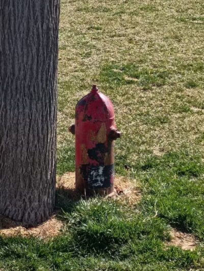 Centennial Dog Park - Richfield, UT