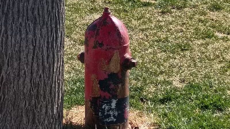 Centennial Dog Park - Richfield, UT