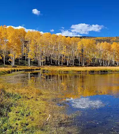 Doctor Creek Trailhead - Richfield, UT