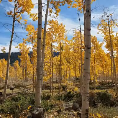 Doctor Creek Trailhead - Richfield, UT