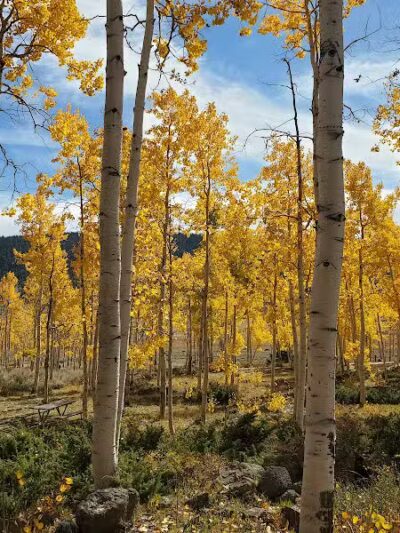 Doctor Creek Trailhead - Richfield, UT