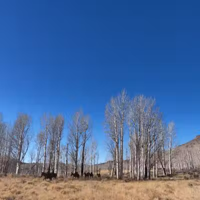 Doctor Creek Trailhead - Richfield, UT