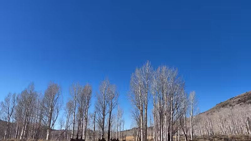 Doctor Creek Trailhead - Richfield, UT