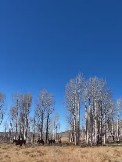 Doctor Creek Trailhead - Richfield, UT