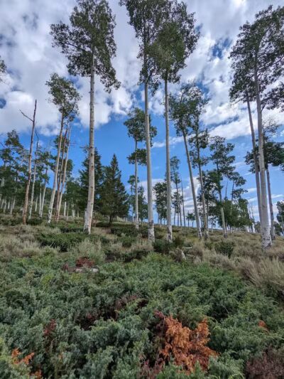 Doctor Creek Trailhead - Richfield, UT