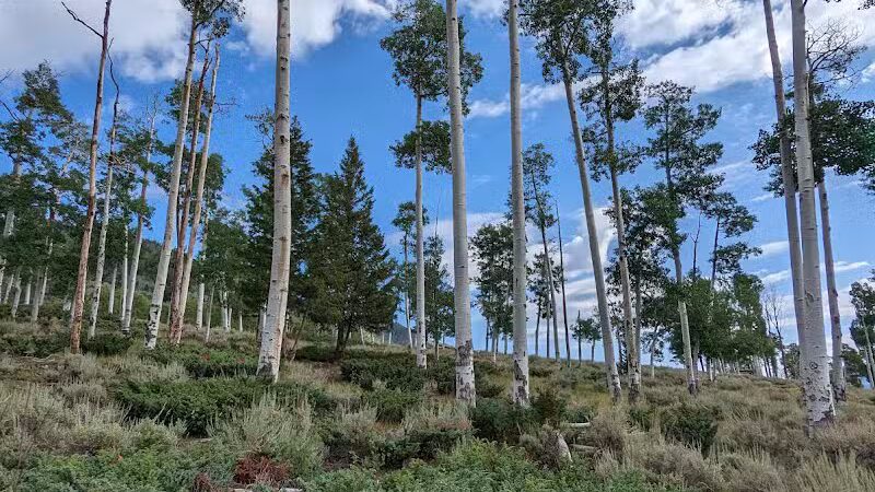Doctor Creek Trailhead - Richfield, UT