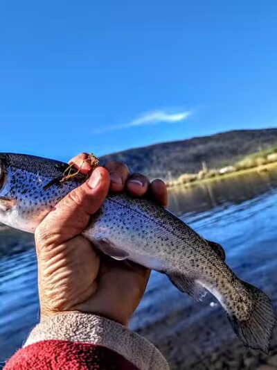 Lakeshore National Recreational Trail- North Trailhead - Richfield, UT