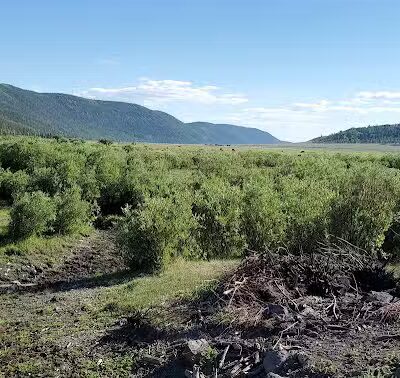 Lakeshore National Recreational Trail- North Trailhead - Richfield, UT