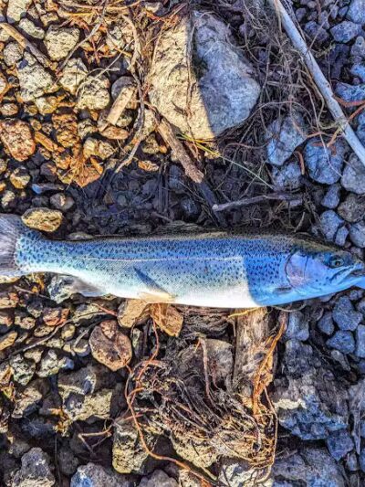 Lakeshore National Recreational Trail- North Trailhead - Richfield, UT