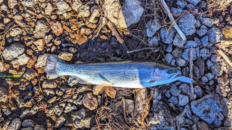 Lakeshore National Recreational Trail- North Trailhead - Richfield, UT
