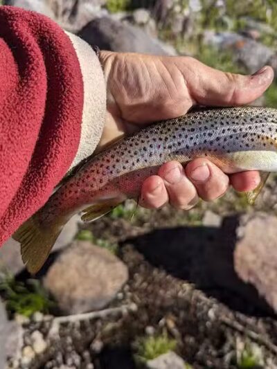 Lakeshore National Recreational Trail- North Trailhead - Richfield, UT