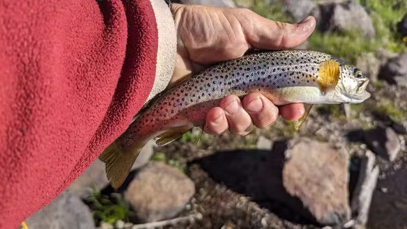 Lakeshore National Recreational Trail- North Trailhead - Richfield, UT