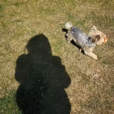 DOG PARK - Richland, WA