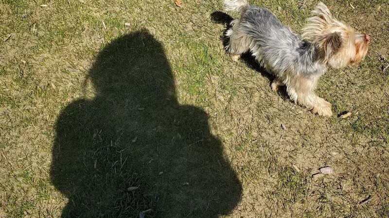 DOG PARK - Richland, WA