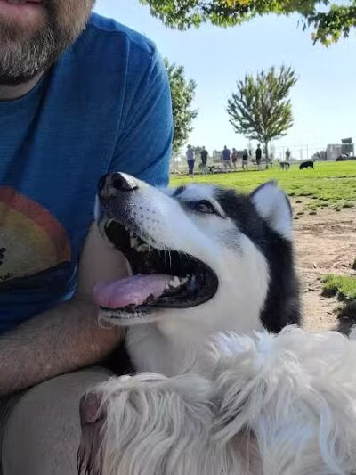 DOG PARK - Richland, WA