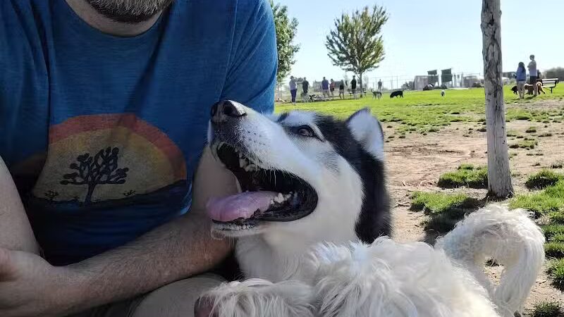 DOG PARK - Richland, WA
