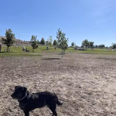 Paws-abilities Place - Richland, WA