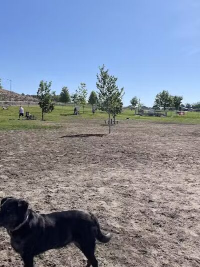 Paws-abilities Place - Richland, WA