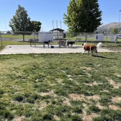 Paws-abilities Place - Richland, WA