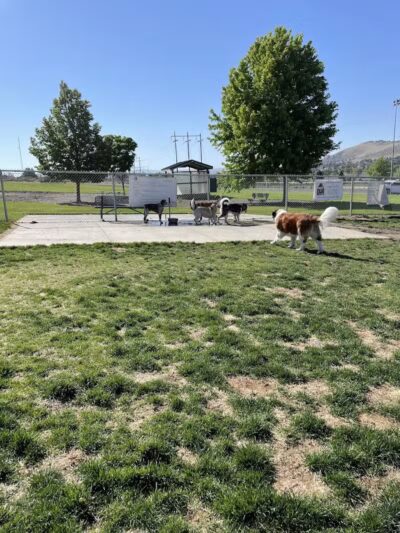 Paws-abilities Place - Richland, WA