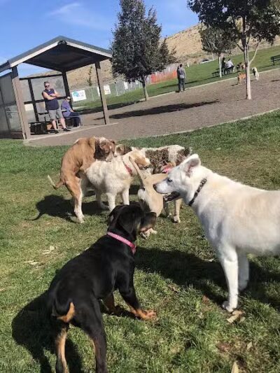 Paws-abilities Place - Richland, WA