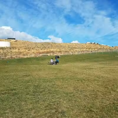 Paws-abilities Place - Richland, WA