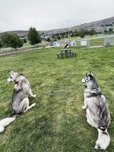 Paws-abilities Place - Richland, WA