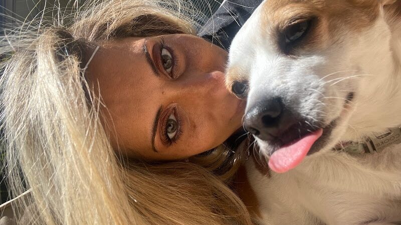 Snip Dogg Doggy Spa - Richmond Hill, NY