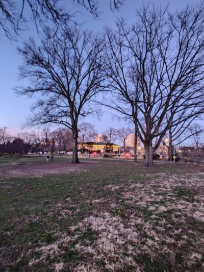 Sobelsohn Playground - Richmond Hill, NY