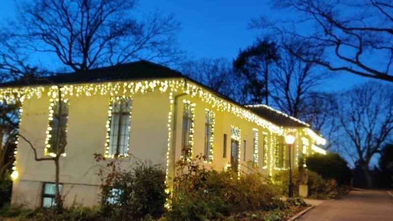 Sobelsohn Playground - Richmond Hill, NY