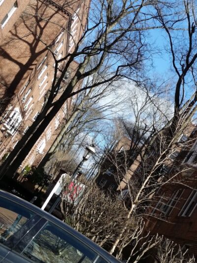 Wallenberg Square - Richmond Hill, NY