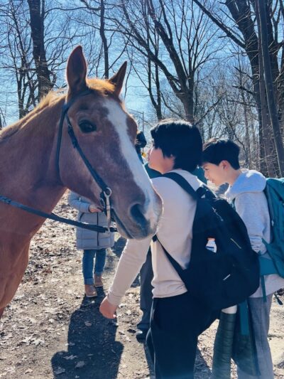 Wallenberg Square - Richmond Hill, NY