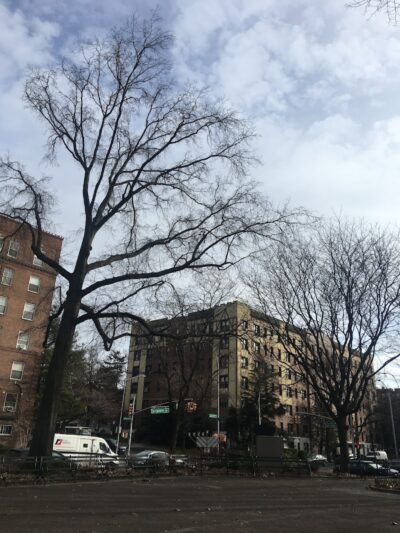 Wallenberg Square - Richmond Hill, NY