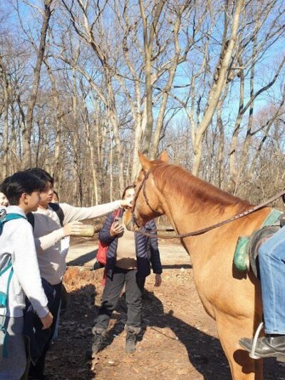 Wallenberg Square - Richmond Hill, NY