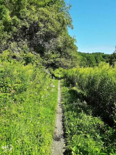 Cross Vermont Trail - Richmond, VT