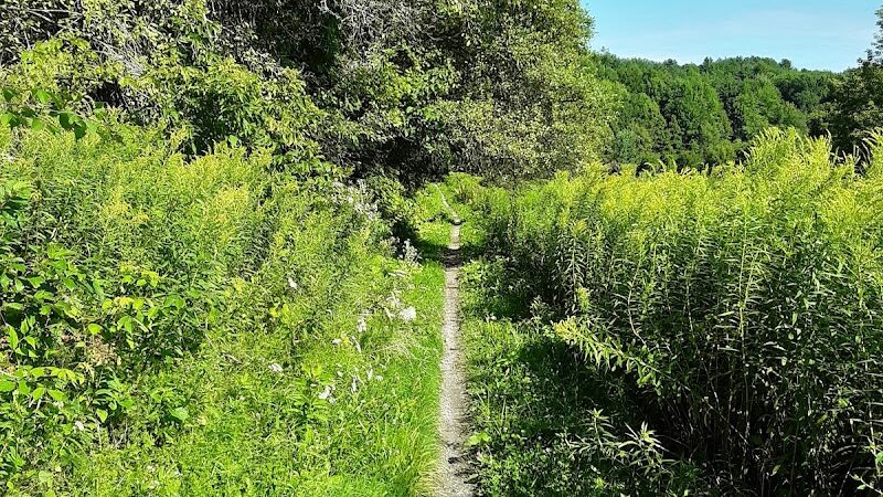 Cross Vermont Trail - Richmond, VT