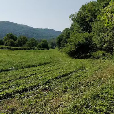 Cross Vermont Trail - Richmond, VT