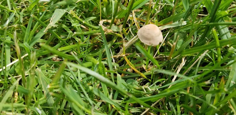 Volunteers Green - Richmond, VT