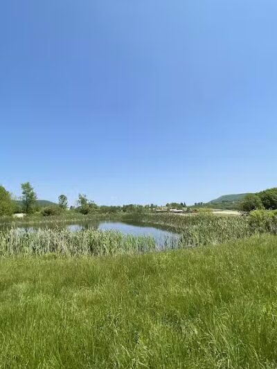 Cobleskill Creek Trail - Richmondville, NY