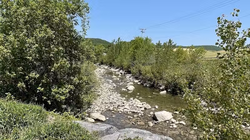 Cobleskill Creek Trail - Richmondville, NY